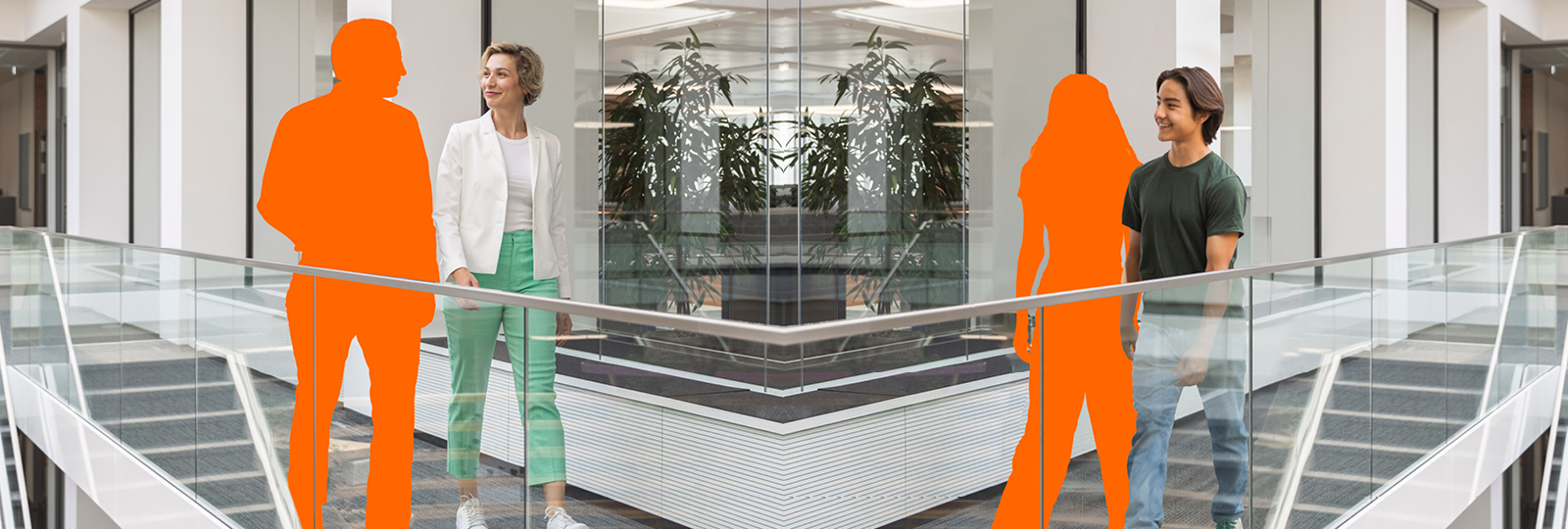 Ausbildung & Studium